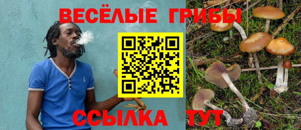 Галлюциногенные грибы MAGIC MUSHROOMS  Псилоцибиновые грибы Cubensis  Саяногорск  Вход с VPN 